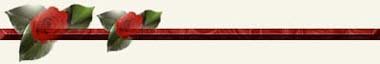 linie-herz-rose.jpg (4102 bytes)