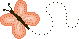 sprgcl4b.gif (2308 bytes)