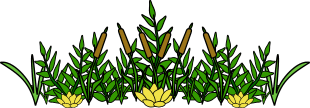 weeds.gif (15624 bytes)