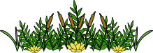 weeds2.gif (9695 bytes)