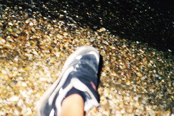 Vans on Holidays!