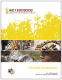 Ma�z y biodiversidad: los efectos del ma�z transg�nico en M�xico: conclusiones y recomendaciones