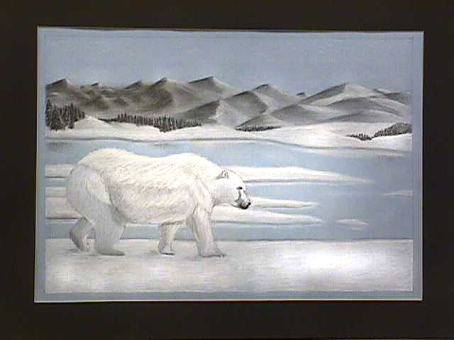 Polar Stroller