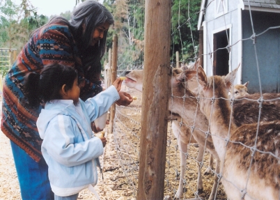 feeding deer