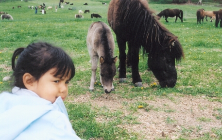 Pony heaven