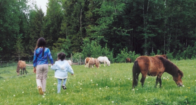 Walking with Ponies