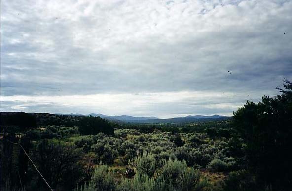 Along the Road to the Farm