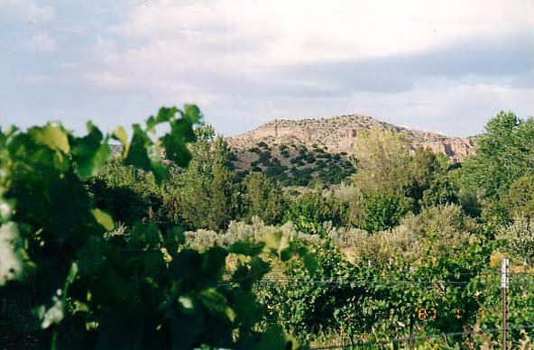 Garden and the Hills