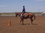 English Equitation Class
