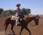 Western Pleasure Walk Trot Class
