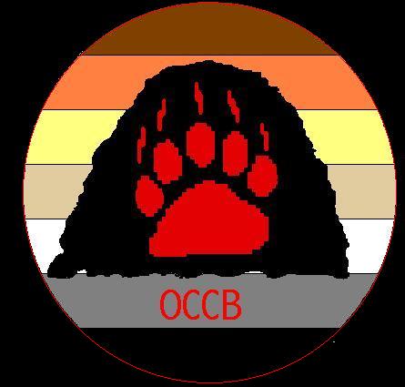 bearsLOGO.jpg (16145 bytes)