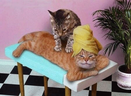 puss