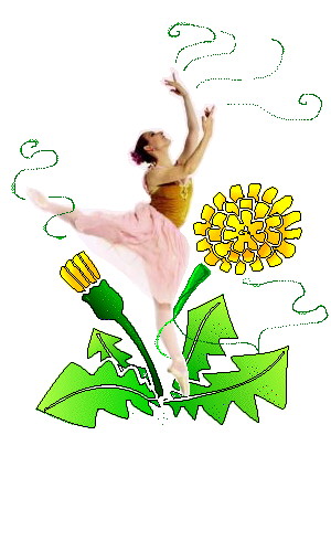 dandelion dancer