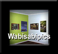 Wabi Sabi is a gallery of photos showing  life in Japan.  Some of the photos are full of interesting contrasts.  The words refer to an  appreciation of the ideal, and ancient beauty to be found in nature.