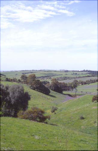 onethill