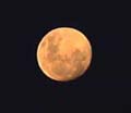 mitmoon