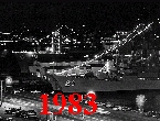 Norfolk Harbor Christmas Lights
