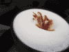 chocolaccino