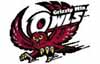 Grizzly Mtn Owls logo
