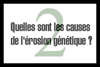 2. Quelles sont les causes de l'&eacute;rosion g&eacute;n&eacute;tique ?