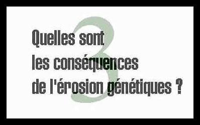 3. Quelles sont les cons&eacute;quences de l'&eacute;rosion g&eacute;n&eacute;tique ?