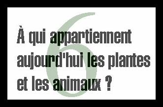 6. &Agrave; qui appartiennent aujourd'hui les plantes et les animaux ?