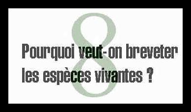 8. Pourquoi veut-on breveter les esp&egrave;ces vivantes ?