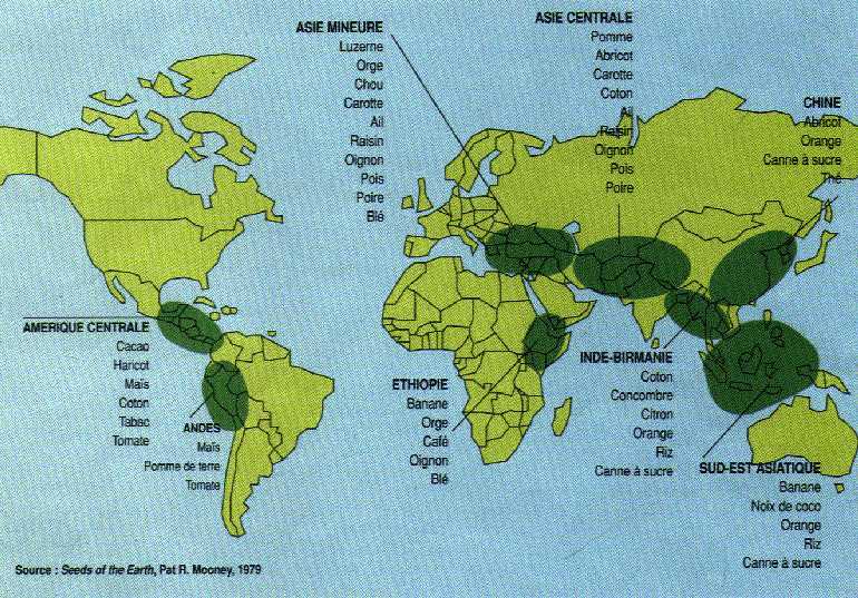 Carte mondiale des centres de diversit&eacute; g&eacute;n&eacute;tique, Vavilof