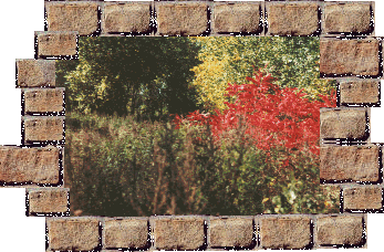 La campagne en ville - Countryside to the city