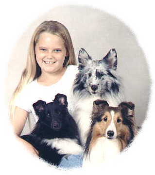 oak knoll shelties