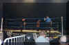 Dcp_2488.jpg (76876 bytes)