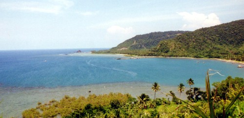 cementocove.jpg (35665 bytes)