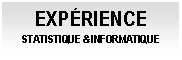 Cuadro de texto: EXP&Eacute;RIENCE STATISTIQUE & INFORMATIQUE