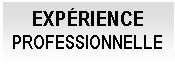 Cuadro de texto: EXP&Eacute;RIENCE PROFESSIONNELLE

