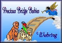 Precious
Bridge Babies Webring Logo