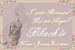 Visit Jenna & Diamond