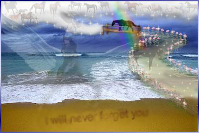 Created especially for Blackie by Jenna
