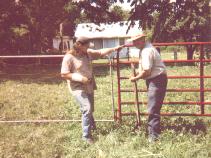 Dale (left) and Dave (right) putting up Blackie's temporary corral
