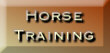 Come and see how it works.&nbsp; You, too, can talk to a horse.