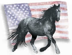 AWHPC logo - used with permission