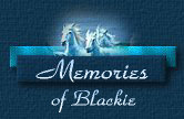 My memories of my wonderful old man
