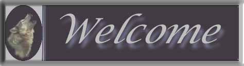Welcome Please Enter