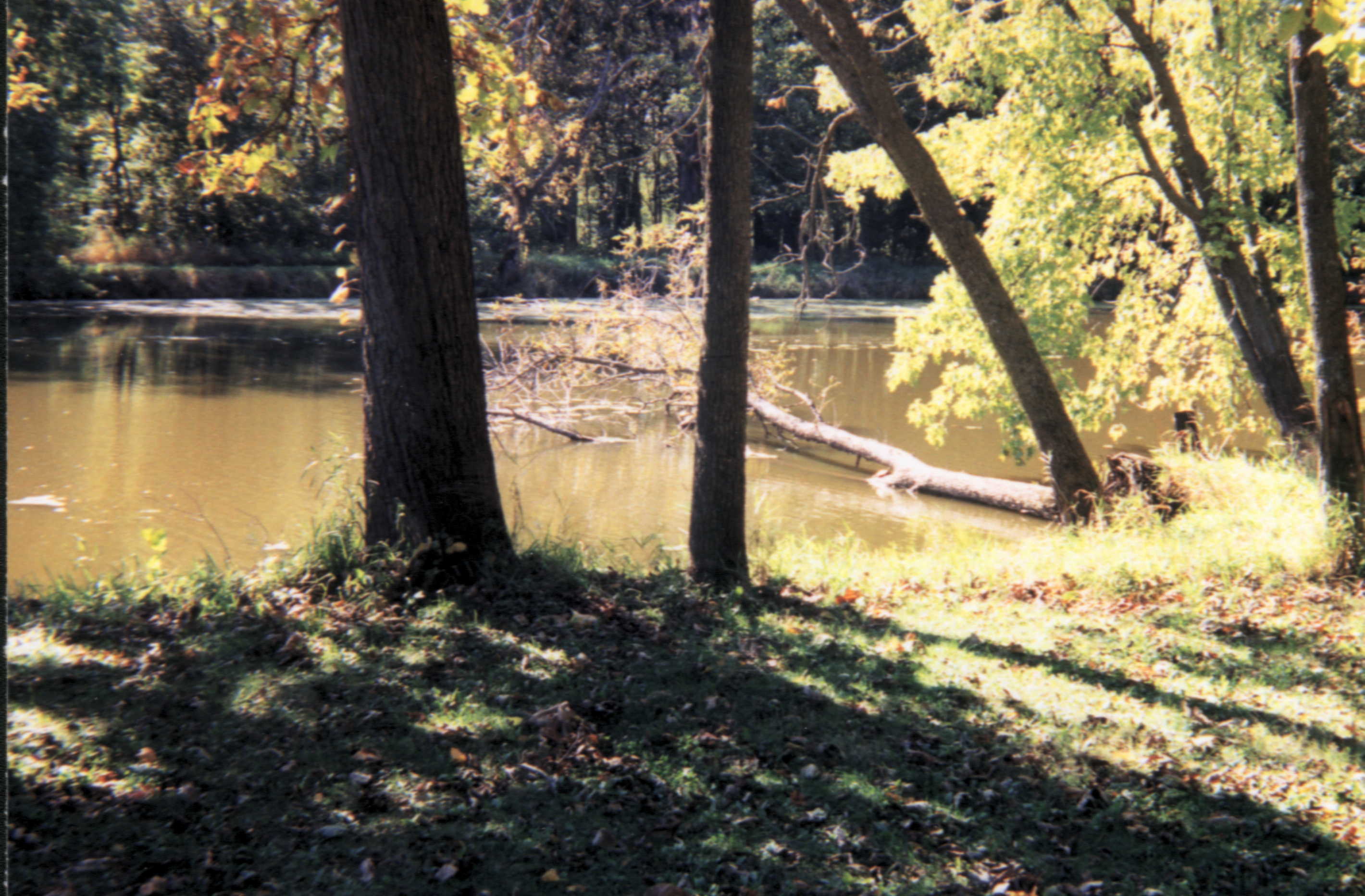 The June 16th battle is believed 
to have been fought in this vicinity, 
along some 40 feet of the pond's embankment
(Credit: Robert A. Braun.)