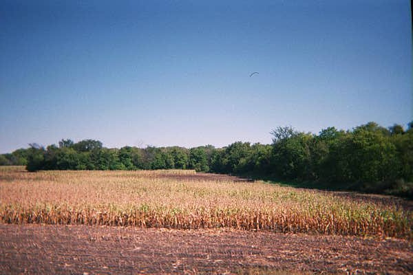 Modern view of the presumptive site of Captain Stephenson's fight. (Picture credit: Greg Carter, 2003.)