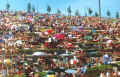 crowd5.jpg (227806 bytes)