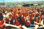 Crowd