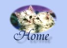 The Older Cats Society Chain Stories