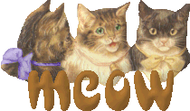 dec3catmeow