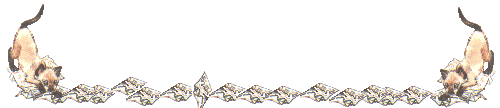 Siamese line