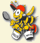 Honey Bee At Work